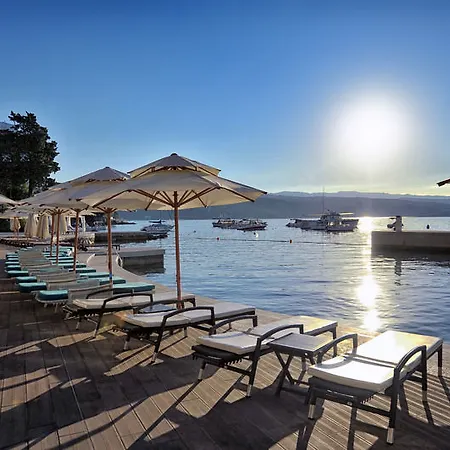 Camellia Hotel 4*